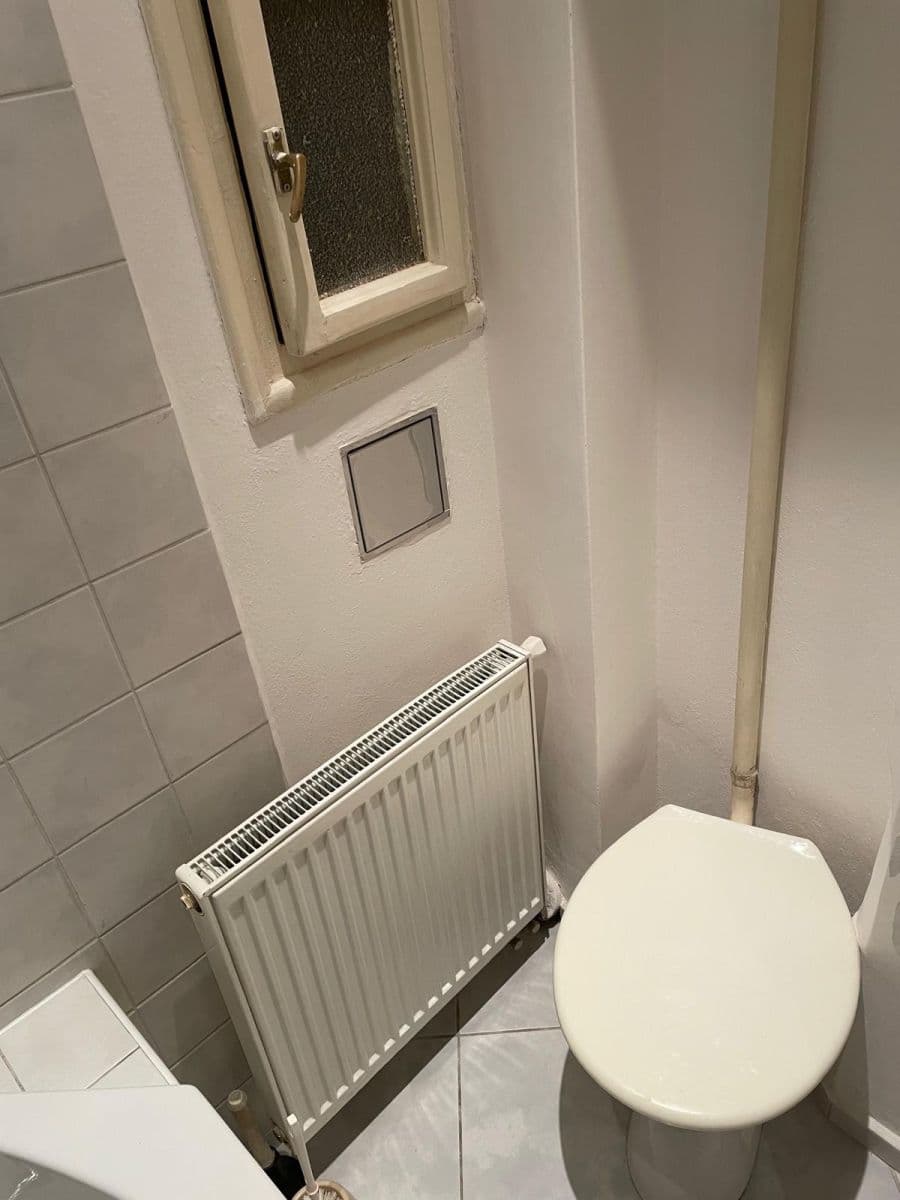 1 bedroom with open-plan kitchen flat to rent, 50 m², Lucemburská, Prague, Prague 1 bedroom with open-plan kitchen flat to rent, 50 m², Lucemburská, Prague, Prague