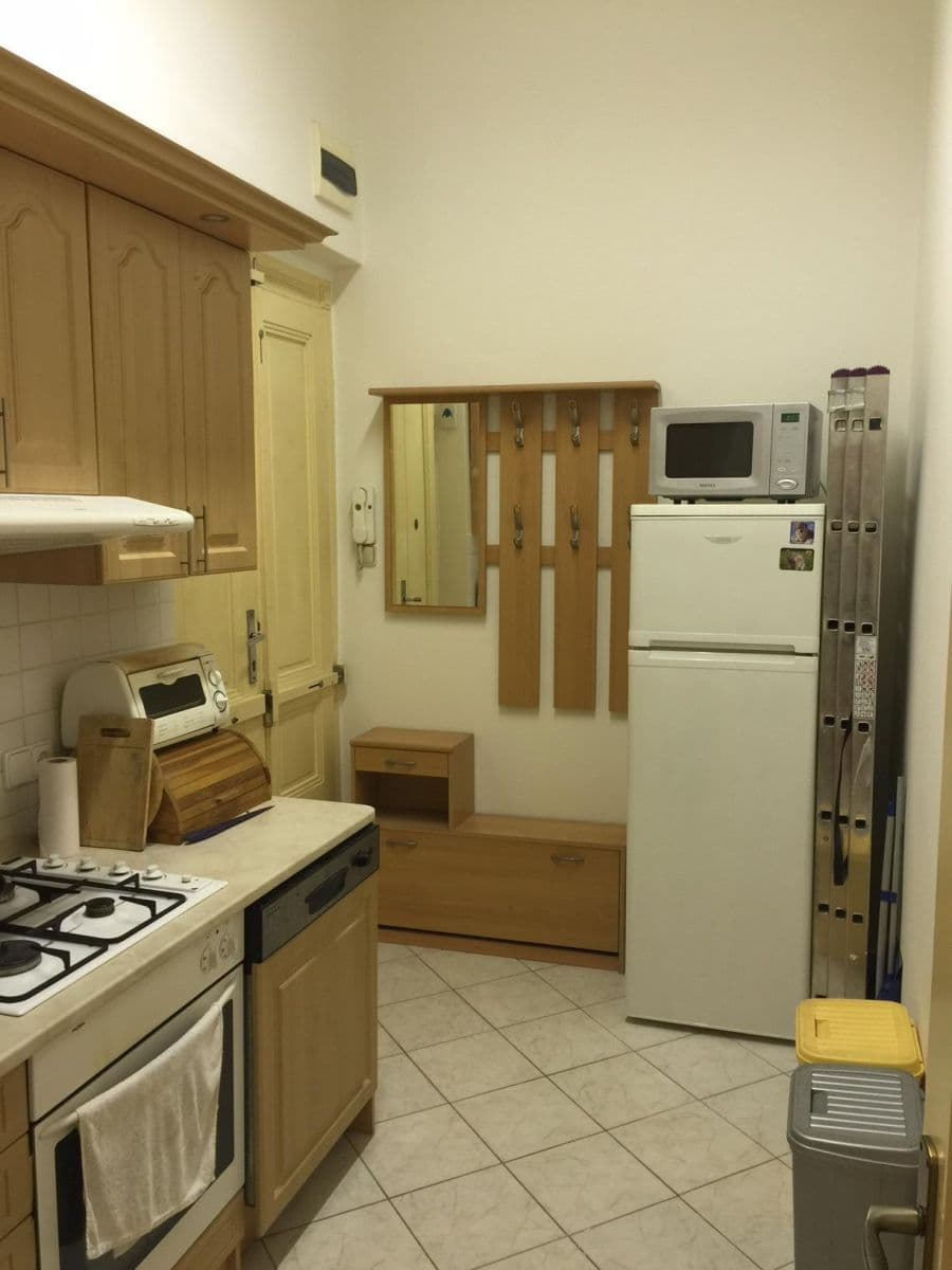 1 bedroom with open-plan kitchen flat to rent, 50 m², Ondříčkova, Prague, Prague 1 bedroom with open-plan kitchen flat to rent, 50 m², Ondříčkova, Prague, Prague