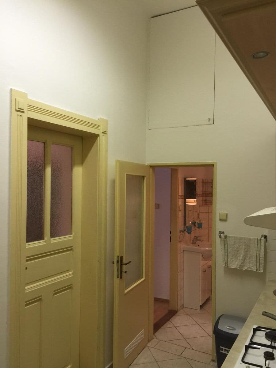 1 bedroom with open-plan kitchen flat to rent, 50 m², Ondříčkova, Prague, Prague 1 bedroom with open-plan kitchen flat to rent, 50 m², Ondříčkova, Prague, Prague