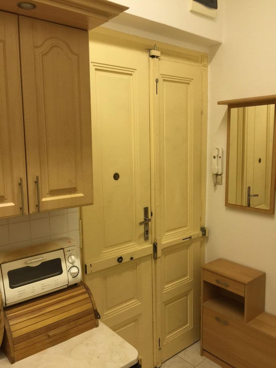 1 bedroom with open-plan kitchen flat to rent, 50 m², Ondříčkova, Prague, Prague 1 bedroom with open-plan kitchen flat to rent, 50 m², Ondříčkova, Prague, Prague