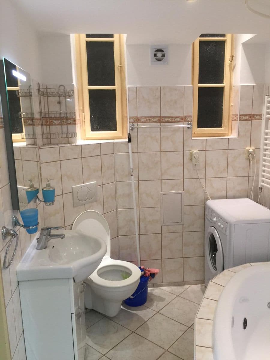 1 bedroom with open-plan kitchen flat to rent, 50 m², Ondříčkova, Prague, Prague 1 bedroom with open-plan kitchen flat to rent, 50 m², Ondříčkova, Prague, Prague