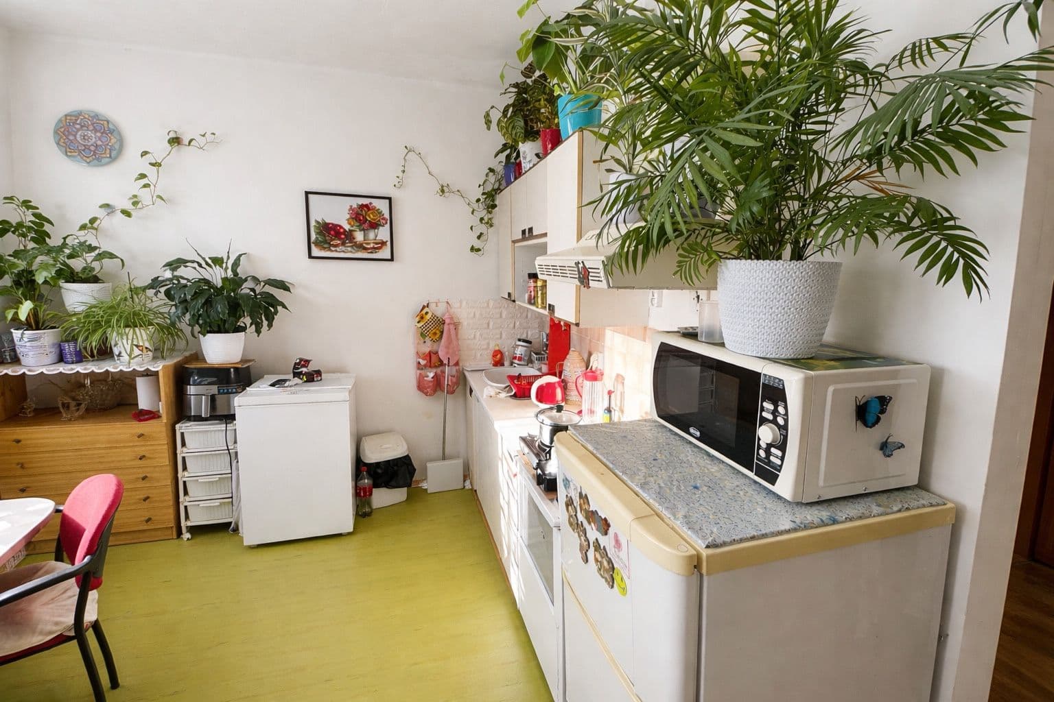 Studio flat for sale, 33 m², Mládeže, Zruč nad Sázavou, Středočeský Region Studio flat for sale, 33 m², Mládeže, Zruč nad Sázavou, Středočeský Region