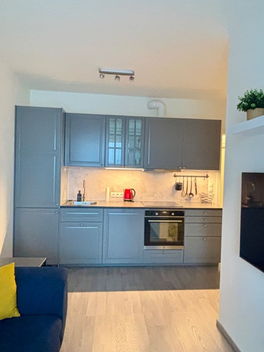 1 bedroom flat to rent, 39 m², Olgy Havlové, Prague, Prague 1 bedroom flat to rent, 39 m², Olgy Havlové, Prague, Prague