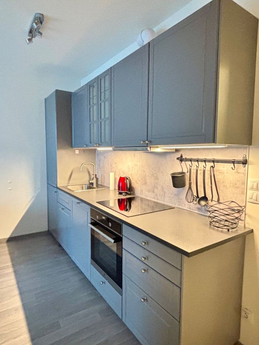 1 bedroom flat to rent, 39 m², Olgy Havlové, Prague, Prague 1 bedroom flat to rent, 39 m², Olgy Havlové, Prague, Prague