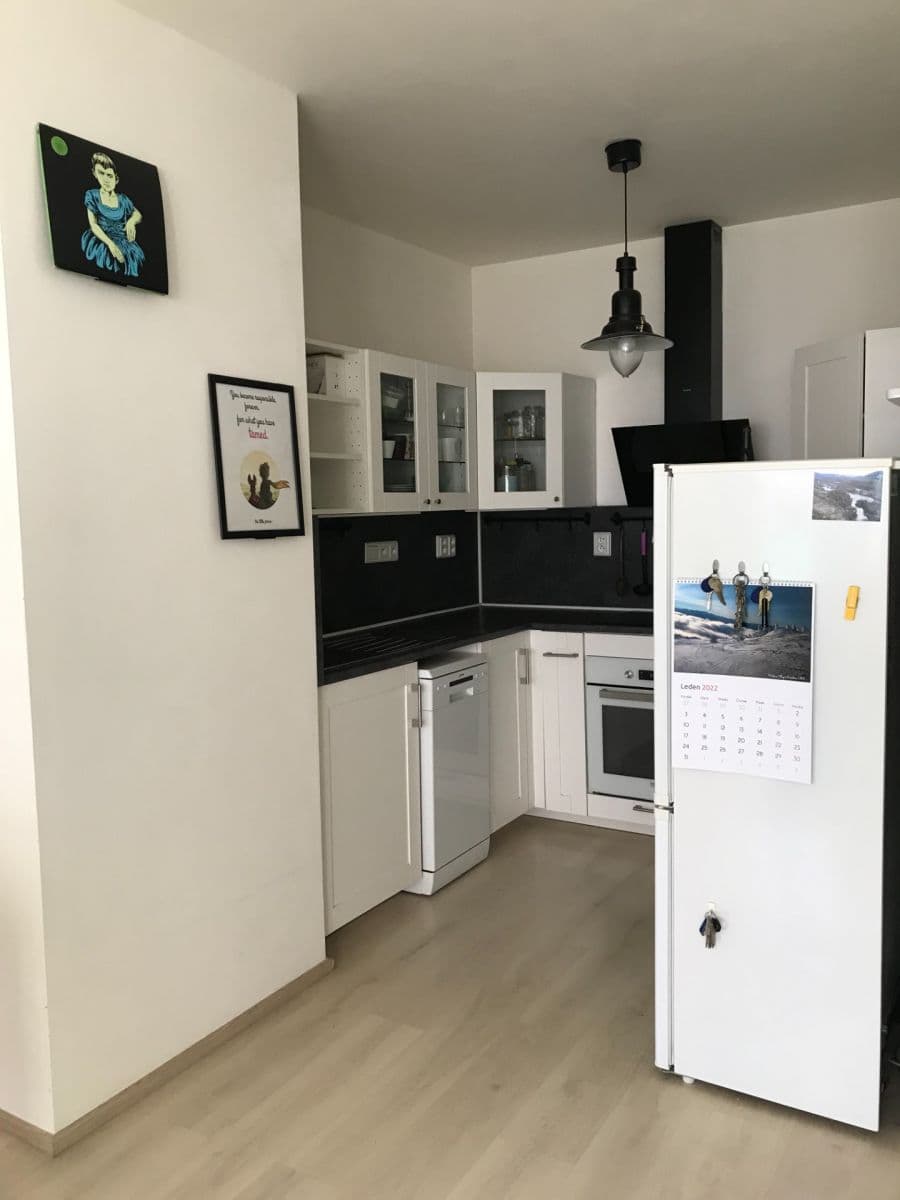 1 bedroom with open-plan kitchen flat to rent, 50 m², Hlučkova, Prague, Prague 1 bedroom with open-plan kitchen flat to rent, 50 m², Hlučkova, Prague, Prague