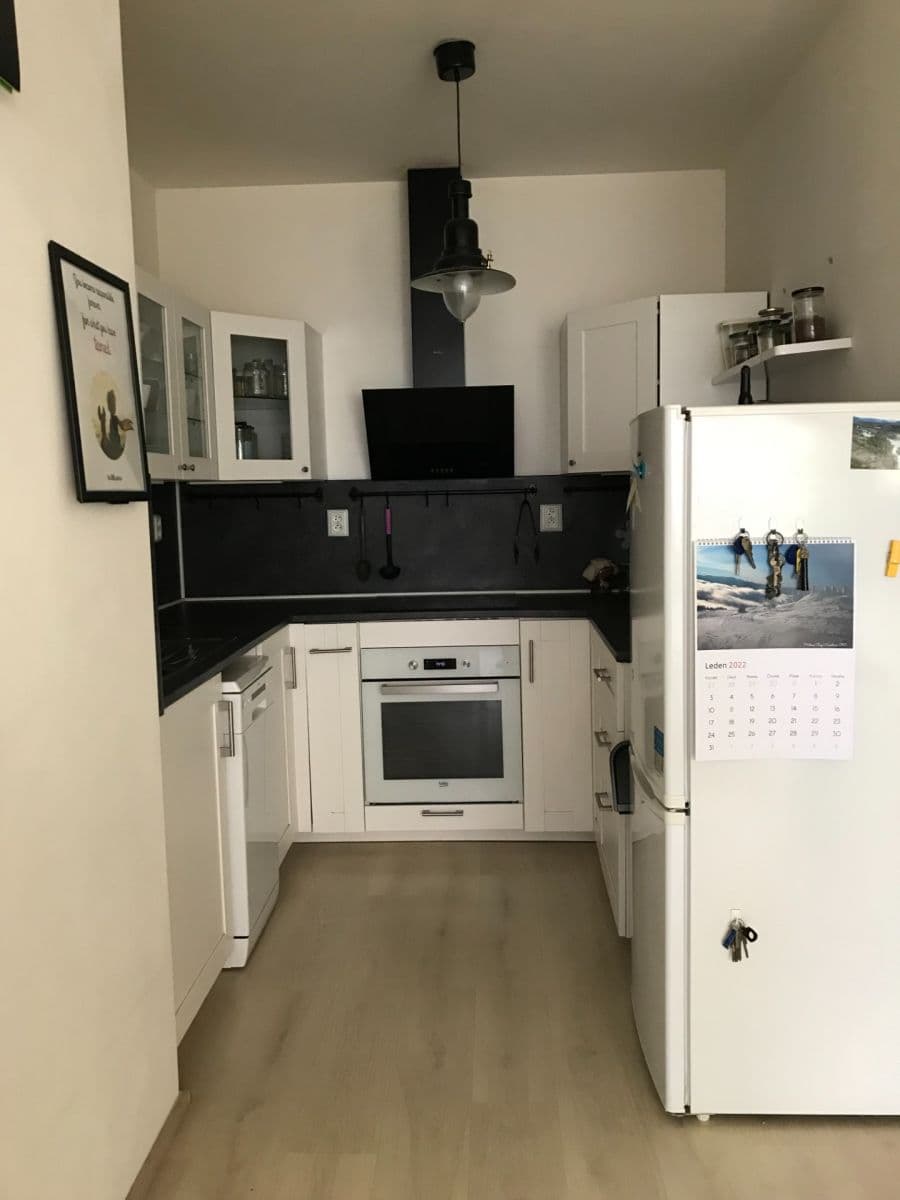 1 bedroom with open-plan kitchen flat to rent, 50 m², Hlučkova, Prague, Prague 1 bedroom with open-plan kitchen flat to rent, 50 m², Hlučkova, Prague, Prague