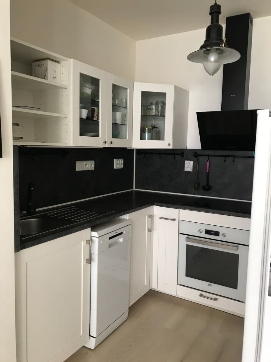 1 bedroom with open-plan kitchen flat to rent, 50 m², Hlučkova, Prague, Prague 1 bedroom with open-plan kitchen flat to rent, 50 m², Hlučkova, Prague, Prague