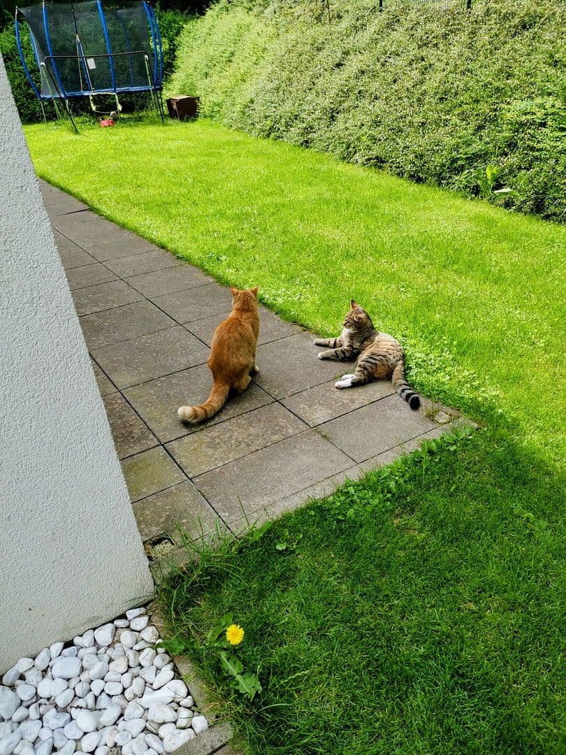 5 bedroom flat for sale, 124 m², Seekirchen am Wallersee, Salzburg 5 bedroom flat for sale, 124 m², Seekirchen am Wallersee, Salzburg