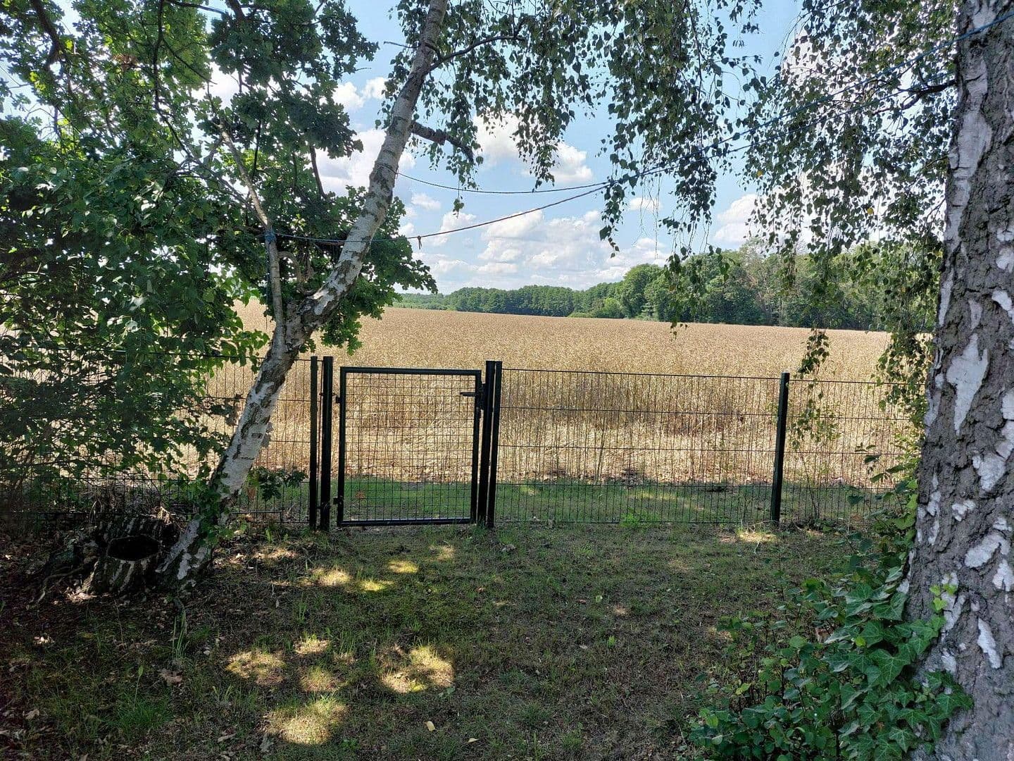 house for sale, 25 m², Beetzsee, Brandenburg house for sale, 25 m², Beetzsee, Brandenburg