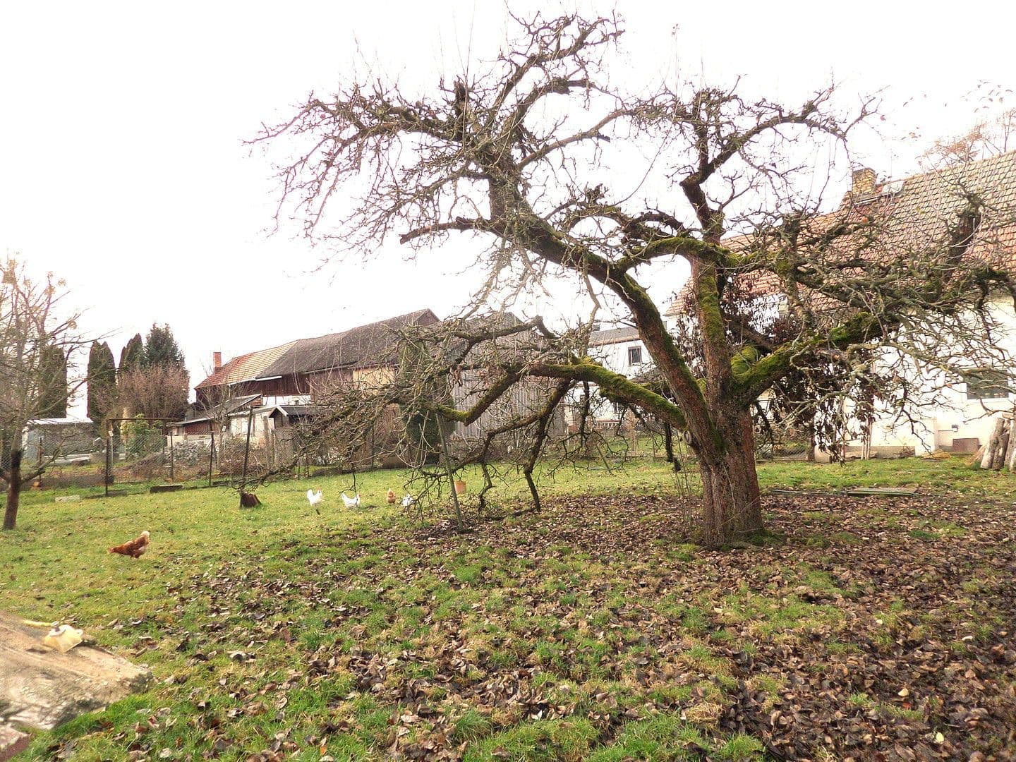 house for sale, 219 m², Bernsdorf, Saxony house for sale, 219 m², Bernsdorf, Saxony