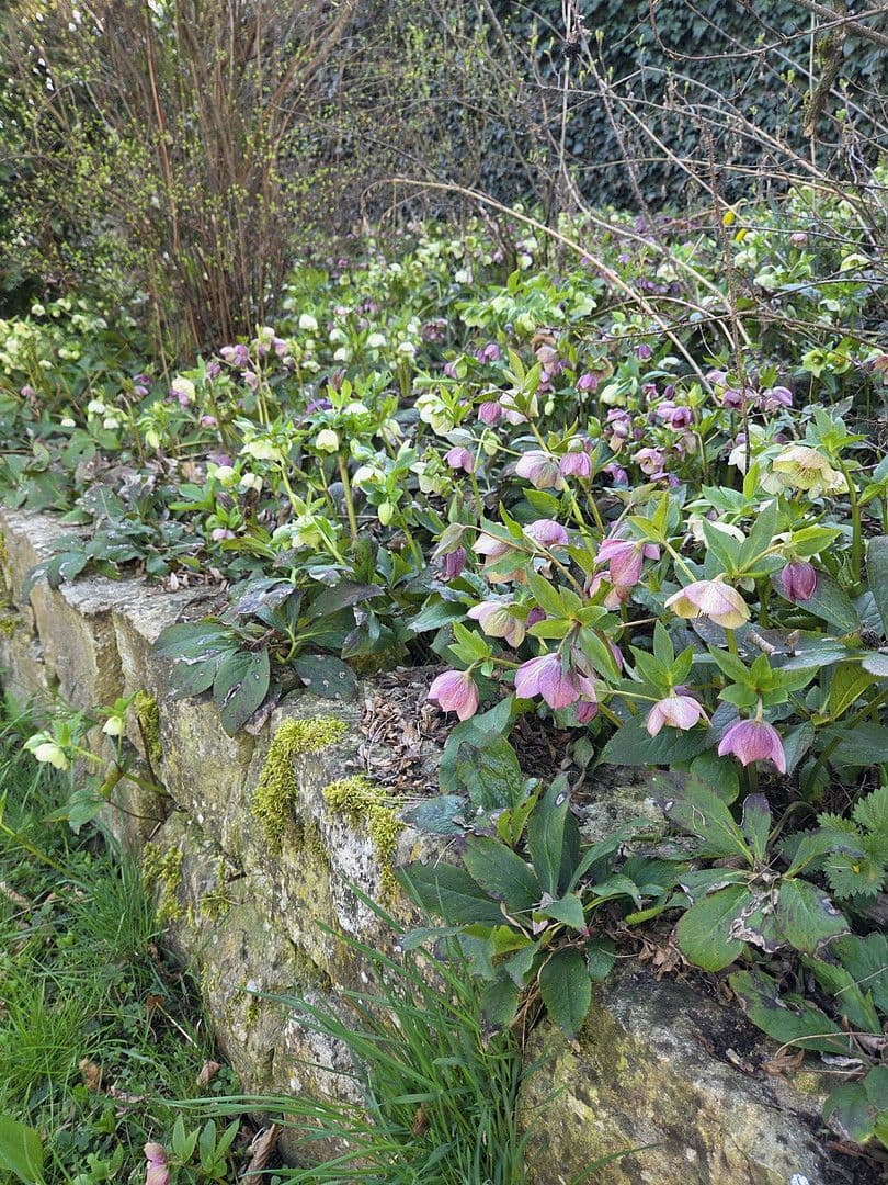 2 bedroom with open-plan kitchen flat to rent, 142 m², Scheer, Baden-Württemberg 2 bedroom with open-plan kitchen flat to rent, 142 m², Scheer, Baden-Württemberg