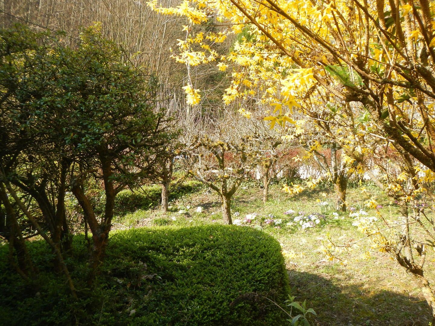 house for sale, 227 m², Neustadt an der Weinstraße, Rhineland-Palatinate house for sale, 227 m², Neustadt an der Weinstraße, Rhineland-Palatinate