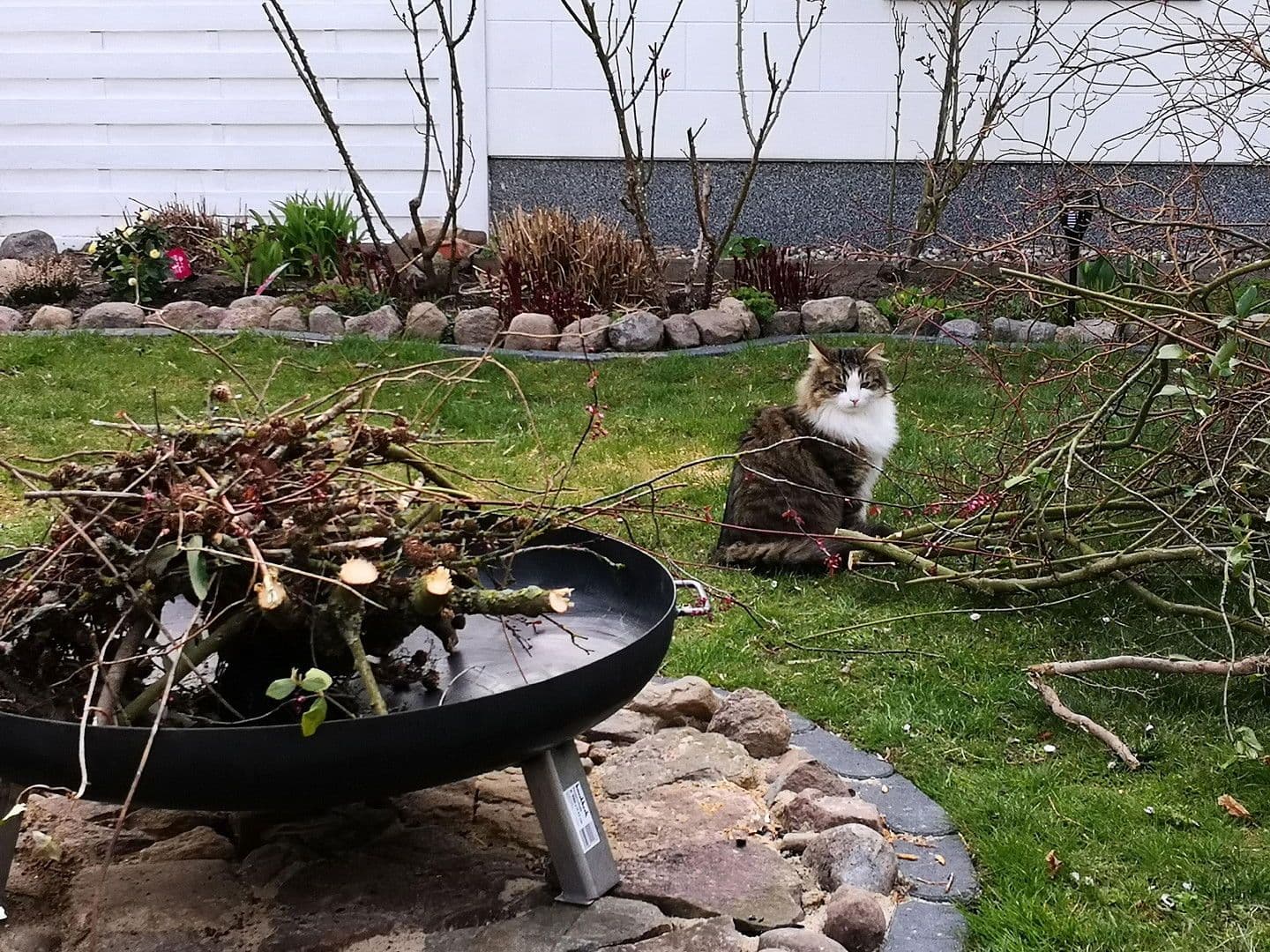 house for sale, 164 m², Blankensee, Mecklenburg-Vorpommern house for sale, 164 m², Blankensee, Mecklenburg-Vorpommern