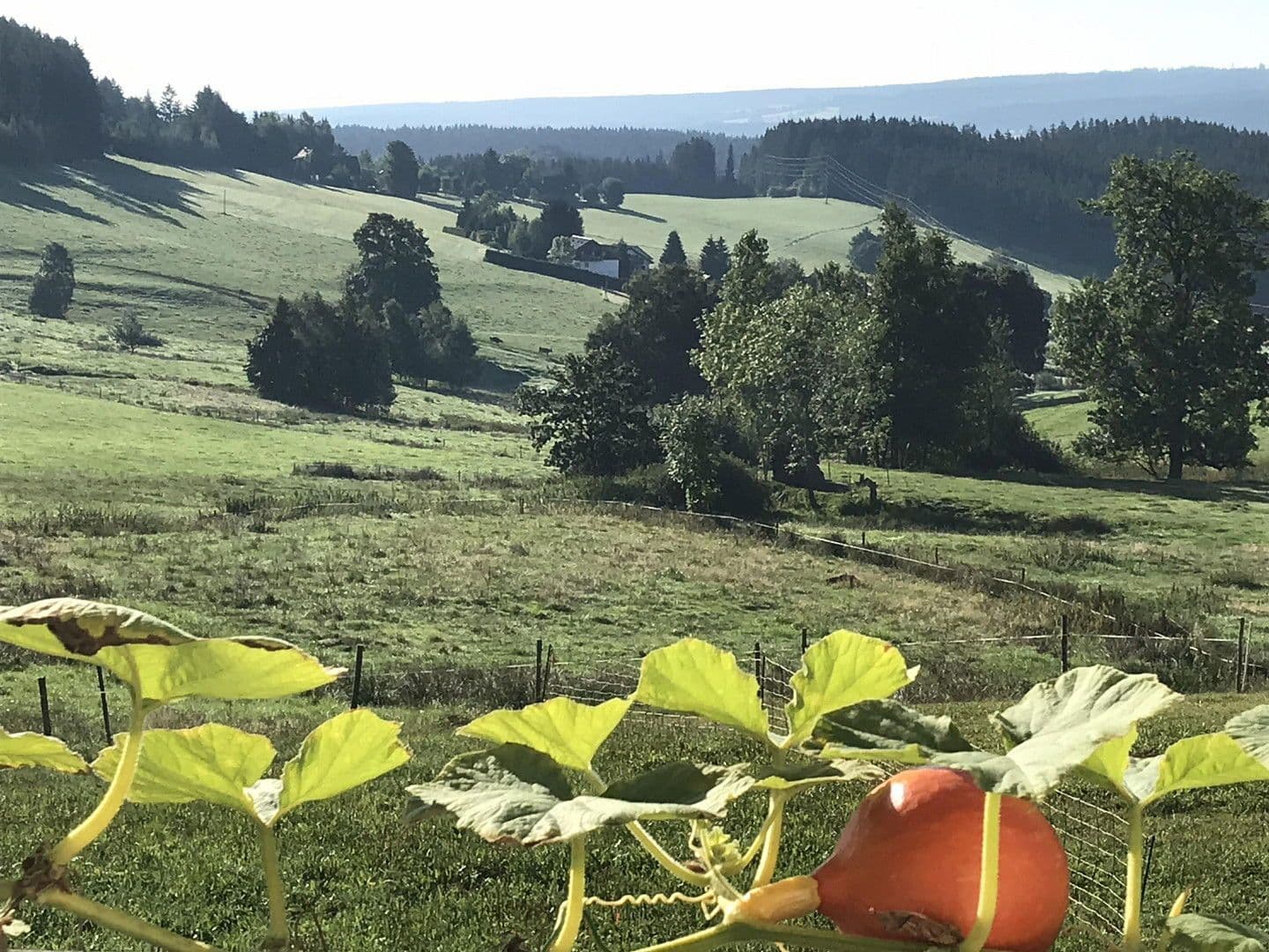 house for sale, 209 m², Lenzkirch, Baden-Württemberg house for sale, 209 m², Lenzkirch, Baden-Württemberg