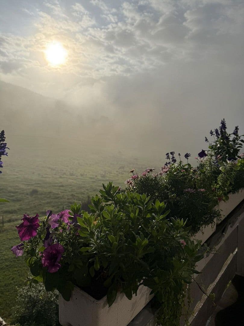 house for sale, 209 m², Lenzkirch, Baden-Württemberg house for sale, 209 m², Lenzkirch, Baden-Württemberg