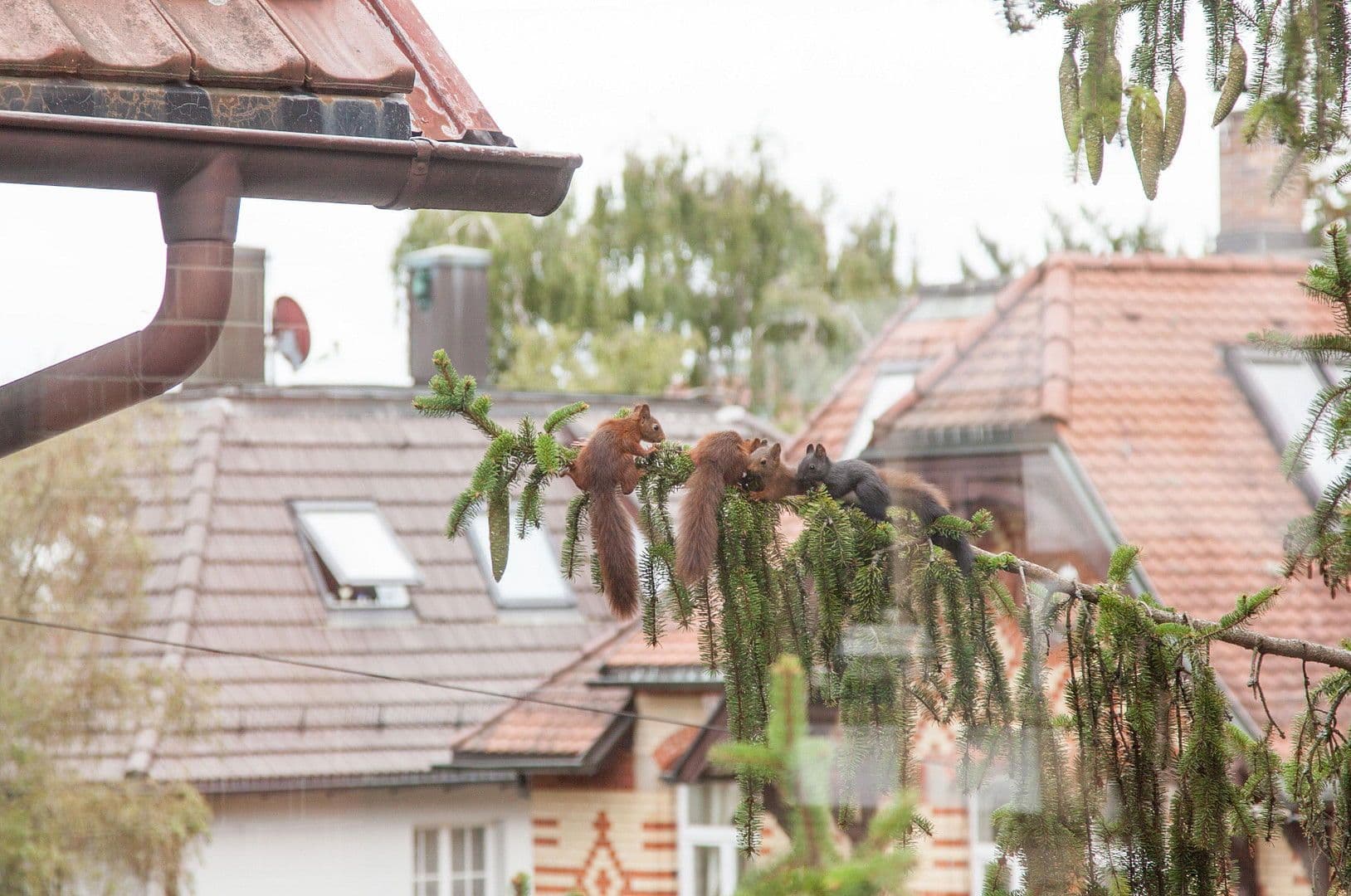 office to rent, 19 m², Stuttgart, Baden-Württemberg office to rent, 19 m², Stuttgart, Baden-Württemberg