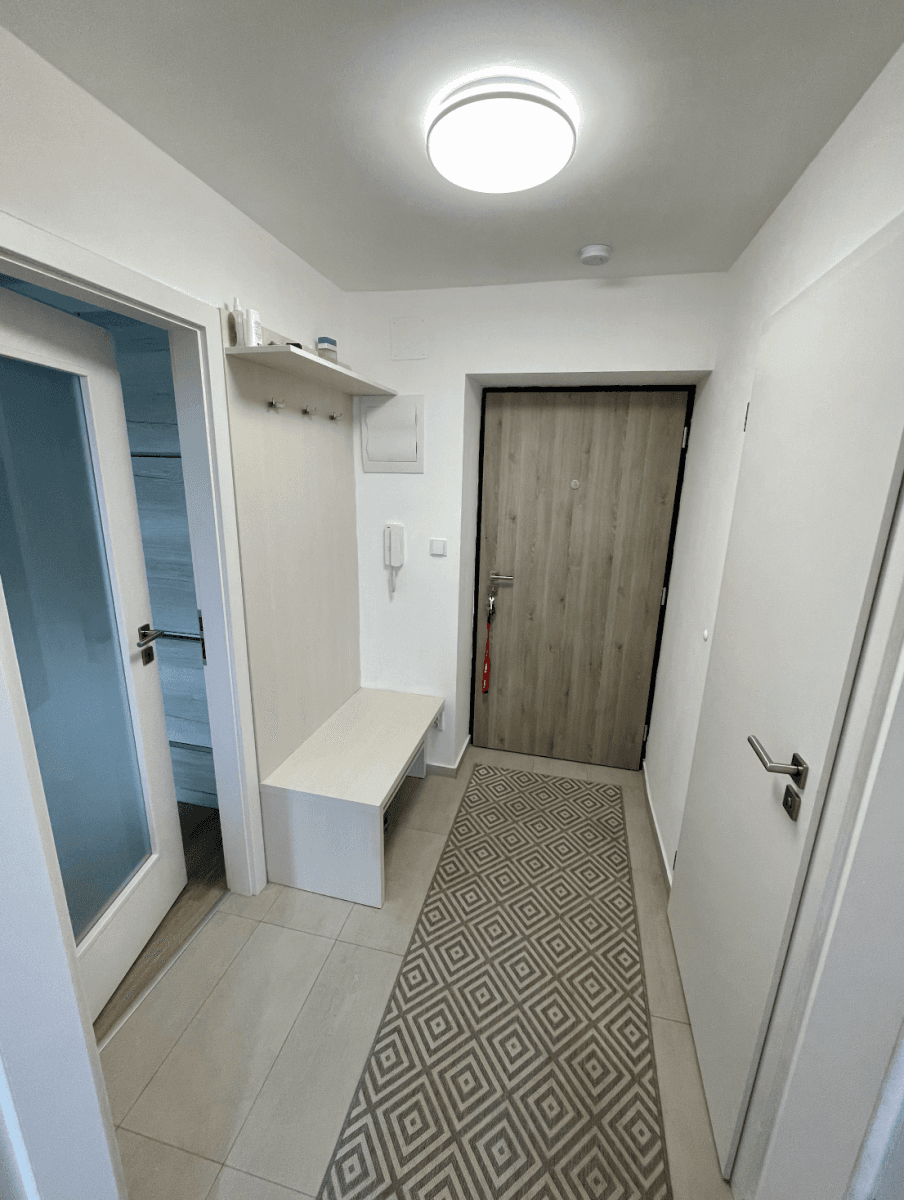 1 bedroom with open-plan kitchen flat to rent, 29 m², Na Obrátce, Prague, Prague 1 bedroom with open-plan kitchen flat to rent, 29 m², Na Obrátce, Prague, Prague