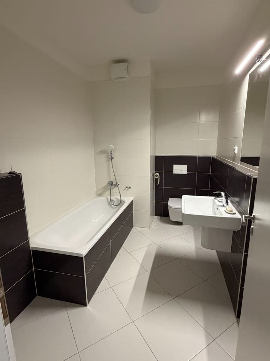 1 bedroom with open-plan kitchen flat to rent, 52 m², Ondrákové, Prague, Prague 1 bedroom with open-plan kitchen flat to rent, 52 m², Ondrákové, Prague, Prague