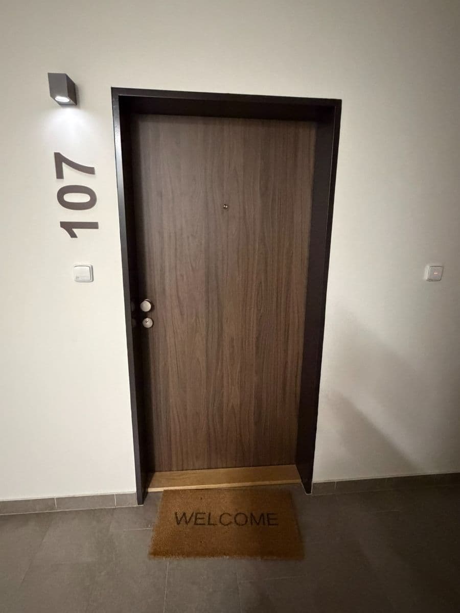 1 bedroom with open-plan kitchen flat to rent, 52 m², Ondrákové, Prague, Prague 1 bedroom with open-plan kitchen flat to rent, 52 m², Ondrákové, Prague, Prague