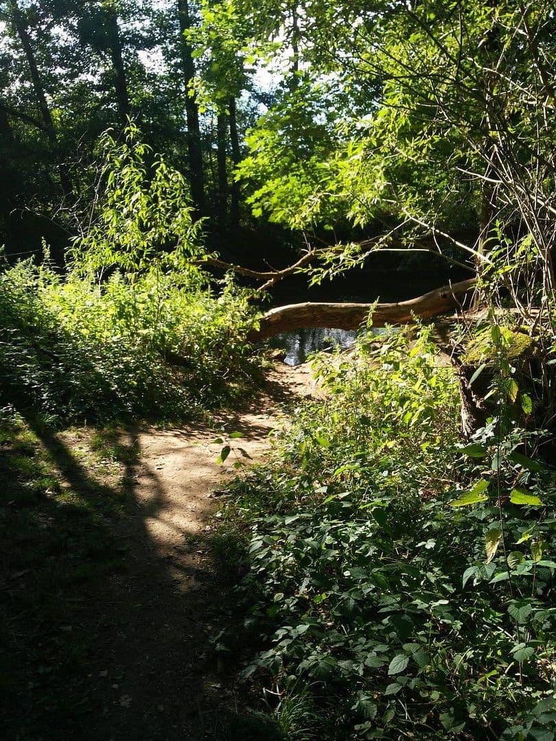 1 bedroom with open-plan kitchen flat to rent, 61 m², Nürnberg, Bavaria 1 bedroom with open-plan kitchen flat to rent, 61 m², Nürnberg, Bavaria