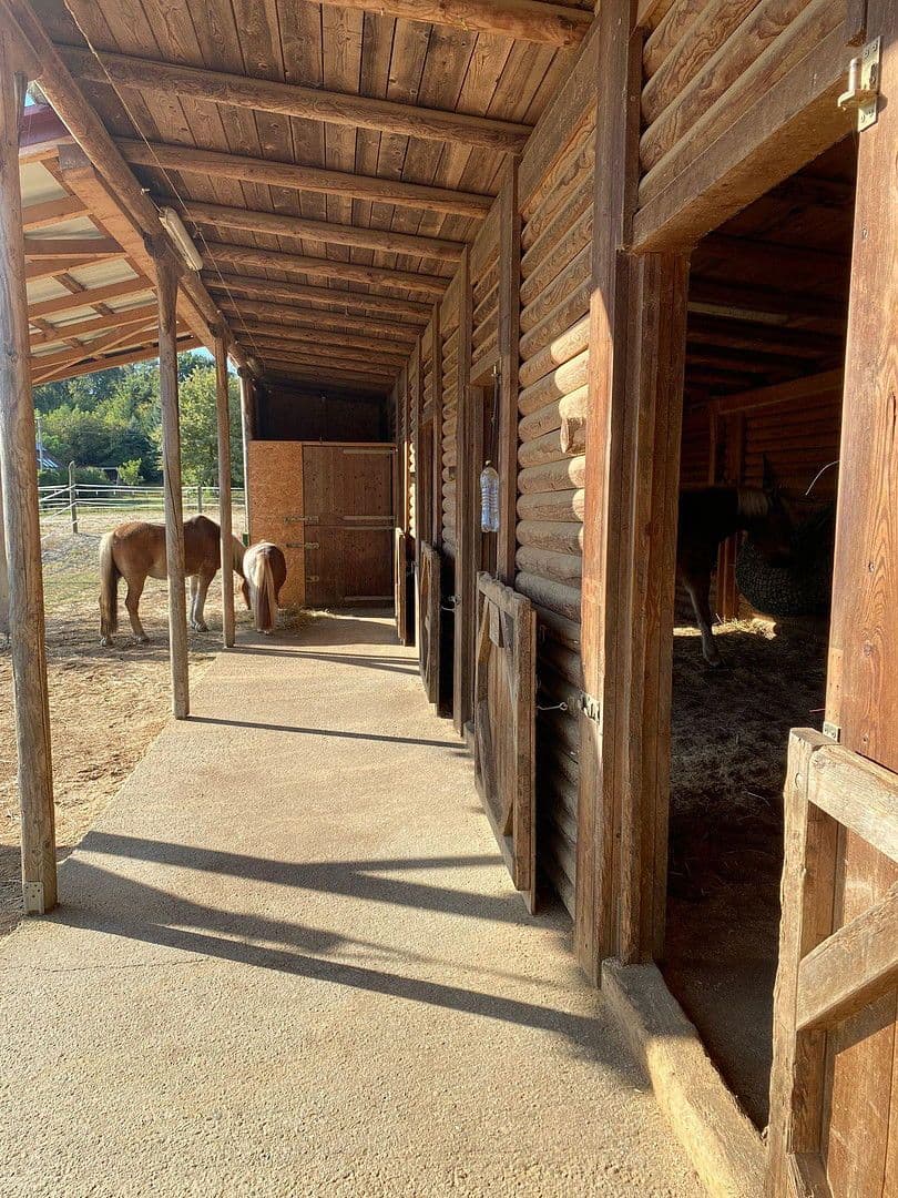 house for sale, 245 m², Kleinmürbisch 30, Kleinmürbisch, Burgenland house for sale, 245 m², Kleinmürbisch 30, Kleinmürbisch, Burgenland