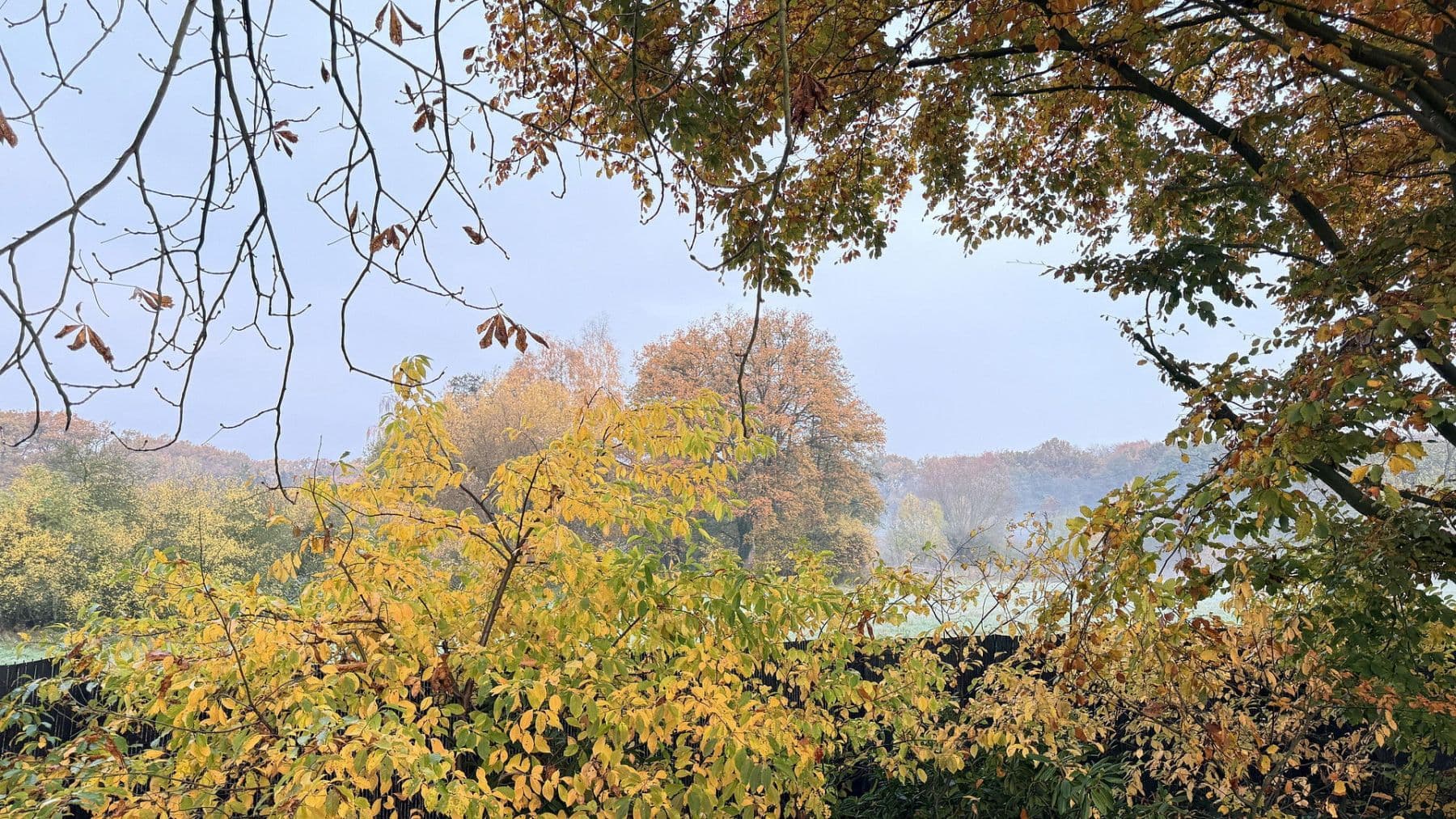 house for sale, 877 m², Balge, Lower Saxony house for sale, 877 m², Balge, Lower Saxony