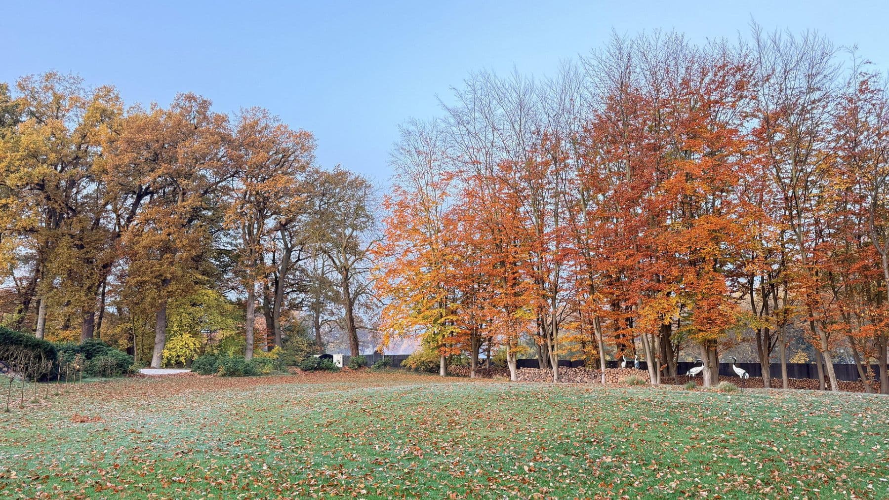 house for sale, 877 m², Balge, Lower Saxony house for sale, 877 m², Balge, Lower Saxony