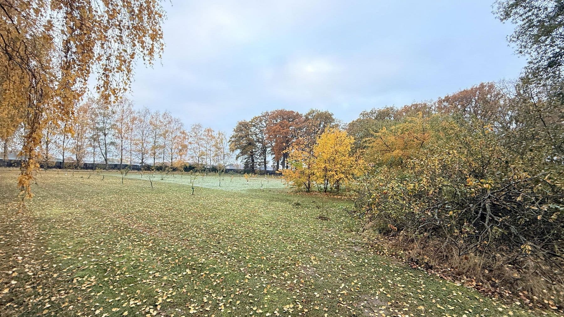 house for sale, 877 m², Balge, Lower Saxony house for sale, 877 m², Balge, Lower Saxony