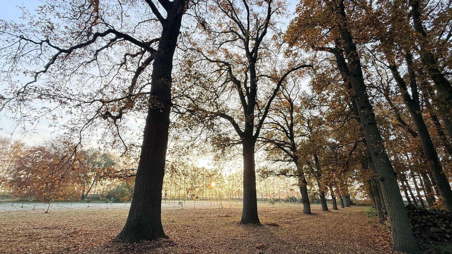 house for sale, 877 m², Balge, Lower Saxony house for sale, 877 m², Balge, Lower Saxony