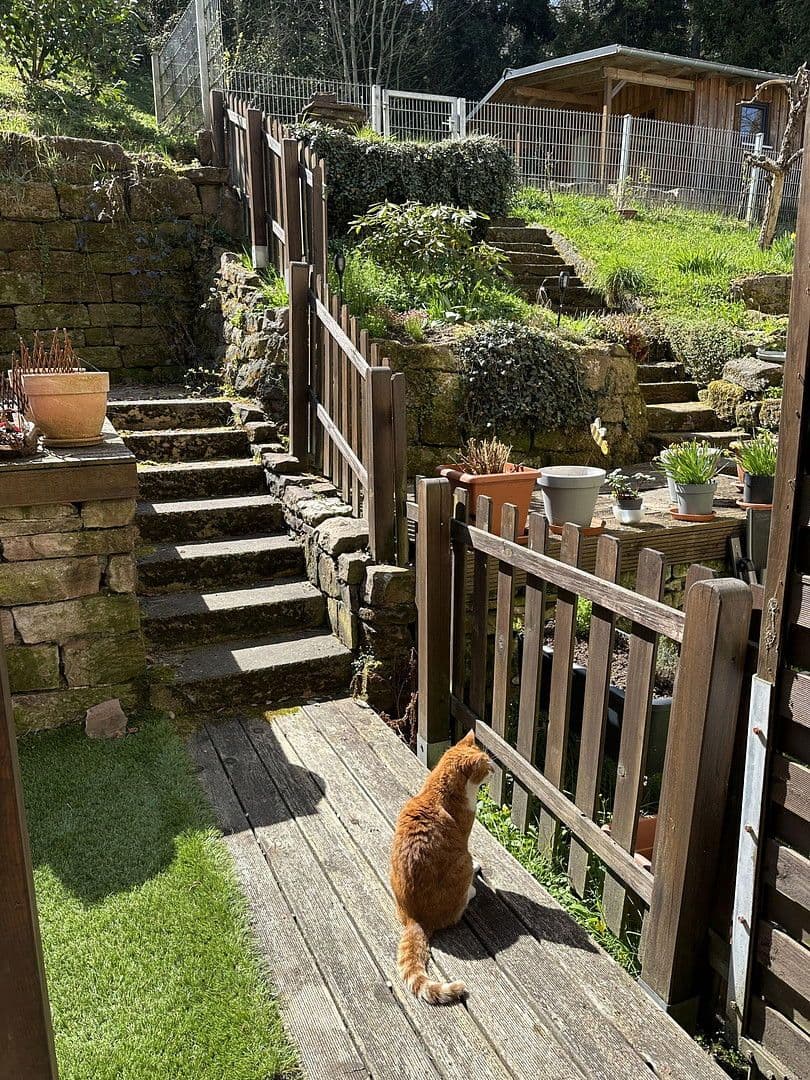 3 bedroom flat to rent, 80 m², Calw, Baden-Württemberg 3 bedroom flat to rent, 80 m², Calw, Baden-Württemberg