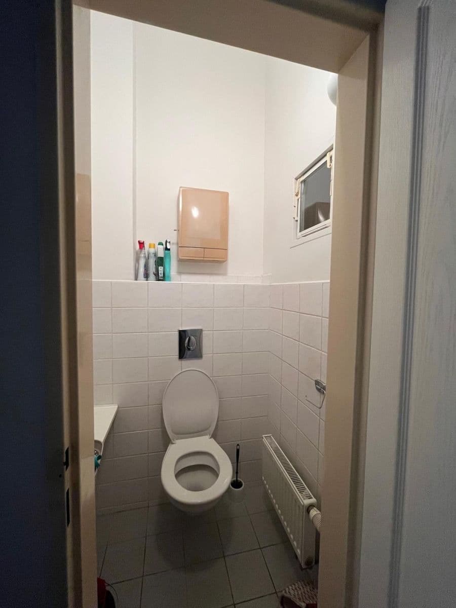 1 bedroom with open-plan kitchen flat to rent, 43 m², Fibichova, Prague, Prague 1 bedroom with open-plan kitchen flat to rent, 43 m², Fibichova, Prague, Prague