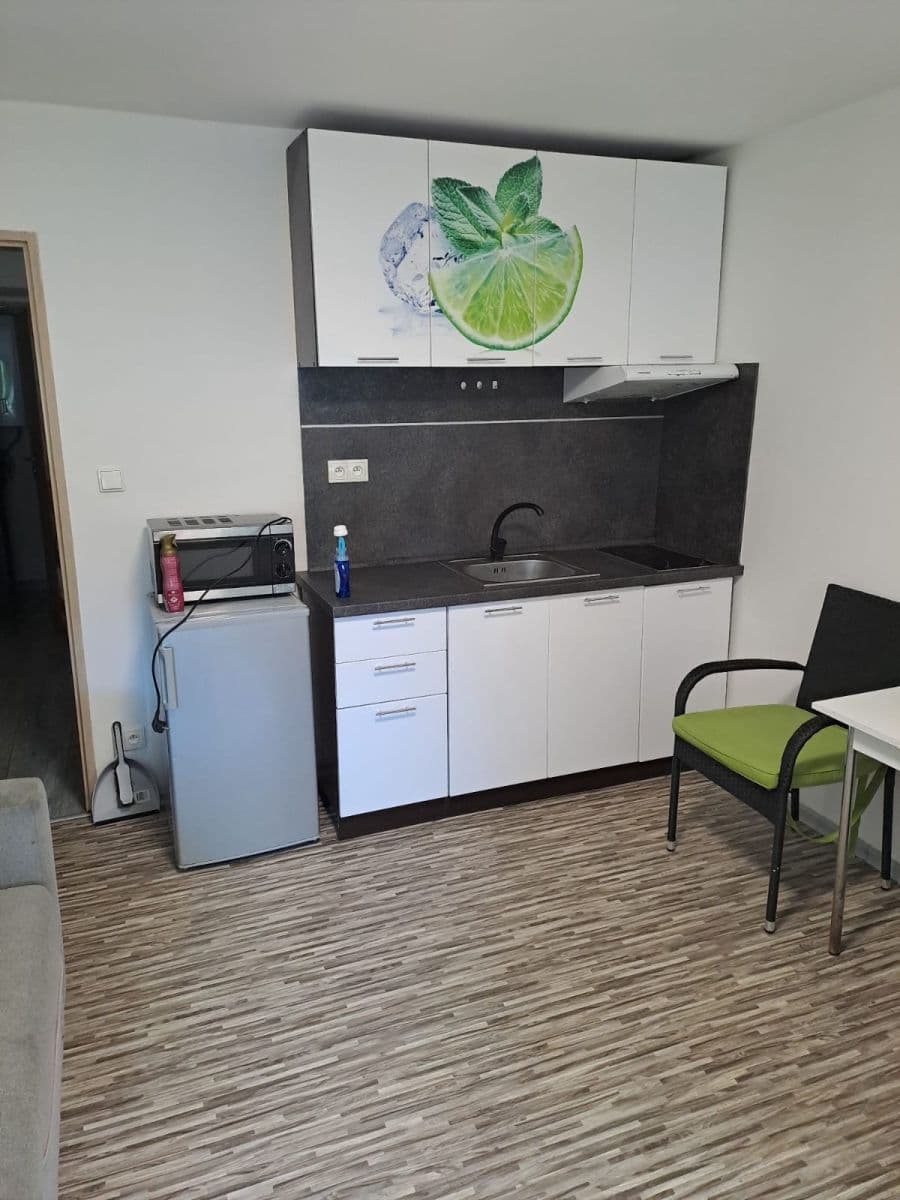 Studio flat to rent, 20 m², Táborská, Karlovy Vary, Karlovarský Region Studio flat to rent, 20 m², Táborská, Karlovy Vary, Karlovarský Region