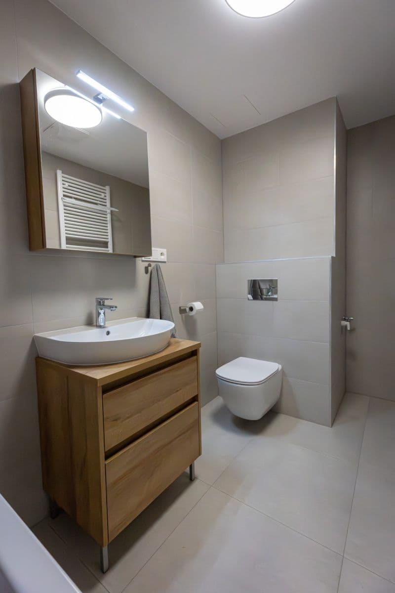 1 bedroom with open-plan kitchen flat to rent, 58 m², Zahradní, Plzeň, Plzeňský Region 1 bedroom with open-plan kitchen flat to rent, 58 m², Zahradní, Plzeň, Plzeňský Region