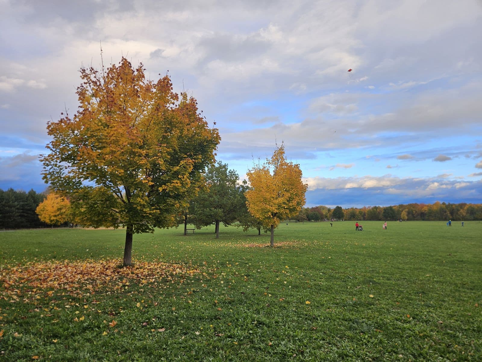 flat to rent, 47 m², Miroslava Hajna, Prague, Prague flat to rent, 47 m², Miroslava Hajna, Prague, Prague