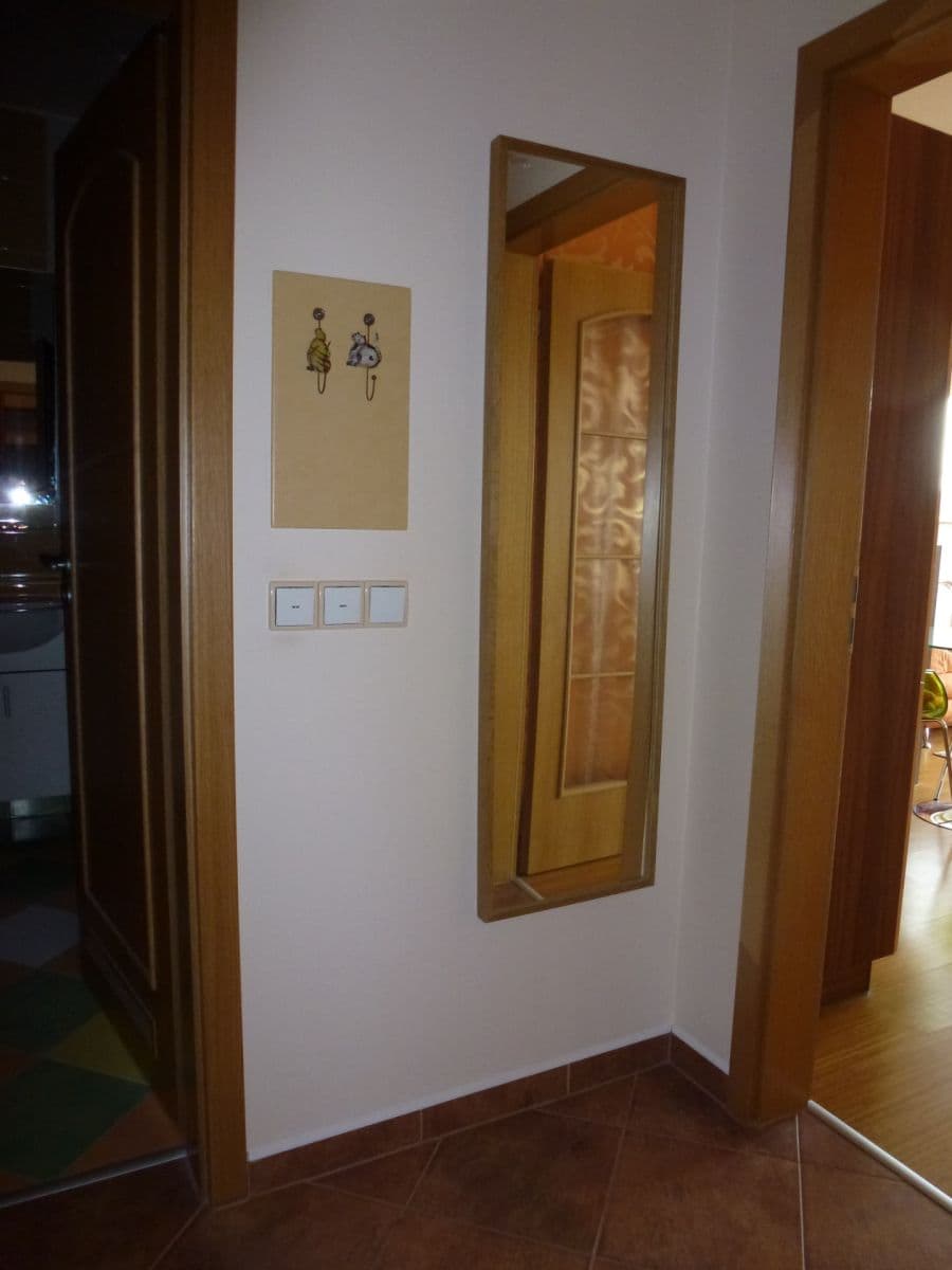 1 bedroom with open-plan kitchen flat to rent, 62 m², V Zahradách, Prague, Prague 1 bedroom with open-plan kitchen flat to rent, 62 m², V Zahradách, Prague, Prague