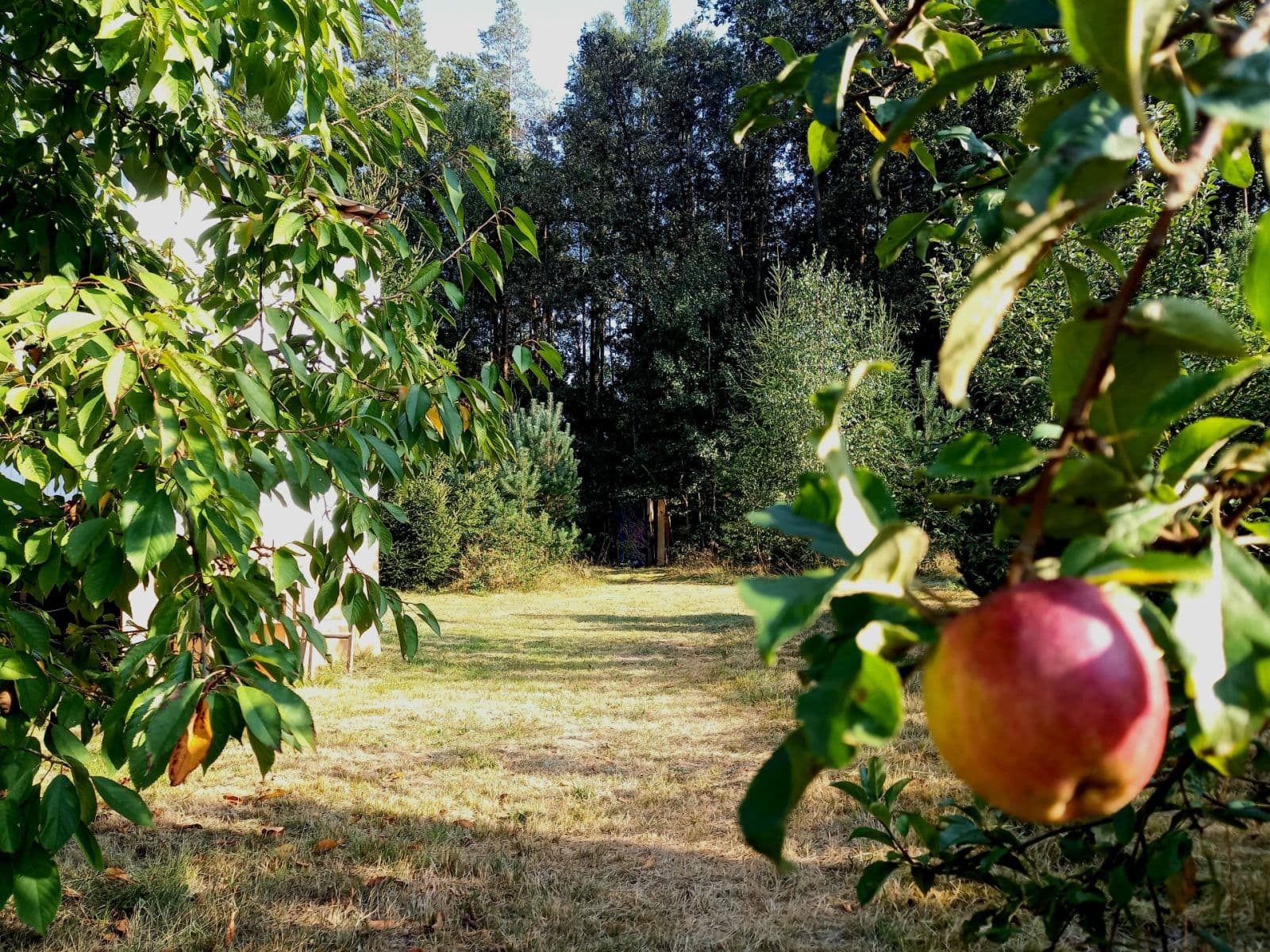 plot for sale, 1,742 m², Okna, Liberecký Region plot for sale, 1,742 m², Okna, Liberecký Region