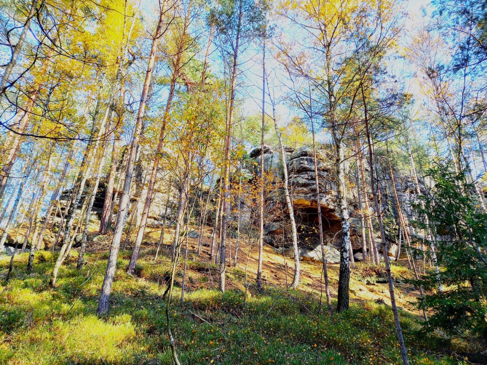 plot for sale, 1,742 m², Okna, Liberecký Region plot for sale, 1,742 m², Okna, Liberecký Region