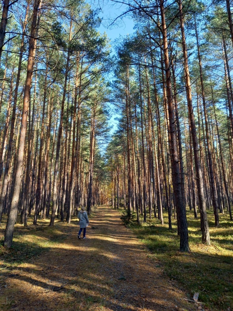 plot for sale, 1,742 m², Okna, Liberecký Region plot for sale, 1,742 m², Okna, Liberecký Region