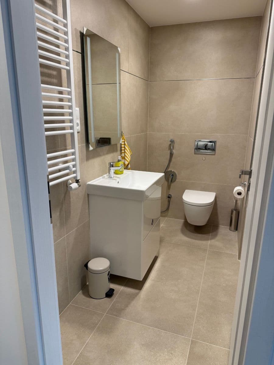 1 bedroom with open-plan kitchen flat to rent, 57 m², Domalípova, Prague, Prague 1 bedroom with open-plan kitchen flat to rent, 57 m², Domalípova, Prague, Prague