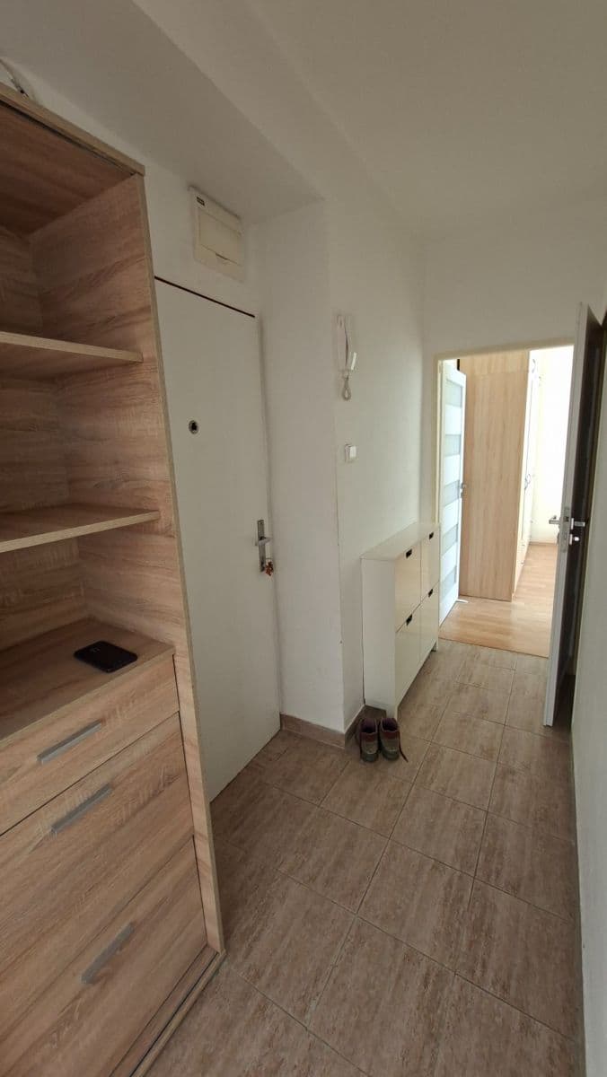 1 bedroom with open-plan kitchen flat to rent, 53 m², Malovická, Prague, Prague 1 bedroom with open-plan kitchen flat to rent, 53 m², Malovická, Prague, Prague