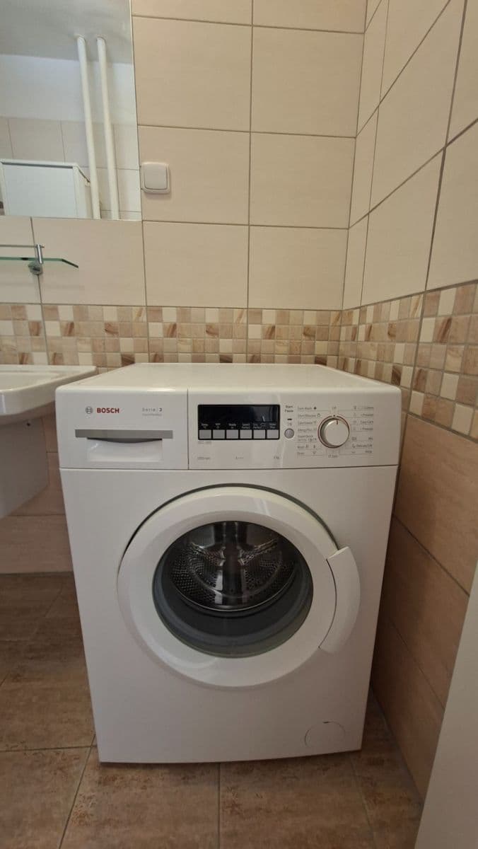 1 bedroom with open-plan kitchen flat to rent, 53 m², Malovická, Prague, Prague 1 bedroom with open-plan kitchen flat to rent, 53 m², Malovická, Prague, Prague