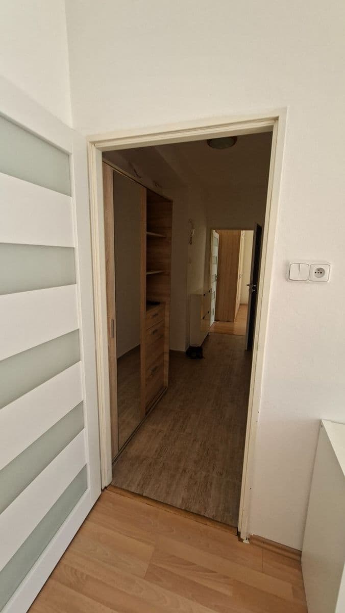 1 bedroom with open-plan kitchen flat to rent, 53 m², Malovická, Prague, Prague 1 bedroom with open-plan kitchen flat to rent, 53 m², Malovická, Prague, Prague