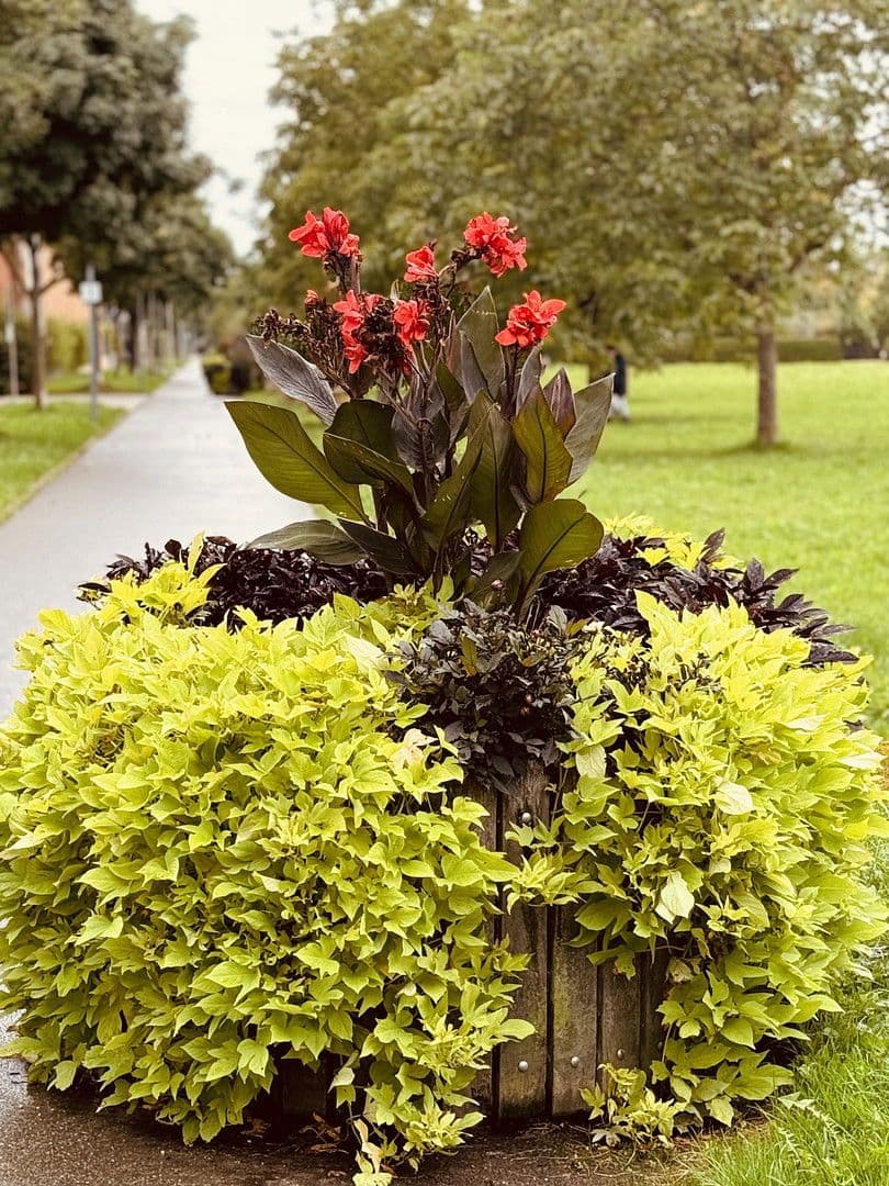 3 bedroom flat for sale, 89 m², Ostfildern, Baden-Württemberg 3 bedroom flat for sale, 89 m², Ostfildern, Baden-Württemberg