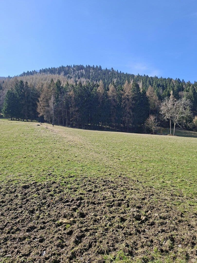 house for sale, 100 m², Hauptstraße 139, Großschönau, Saxony house for sale, 100 m², Hauptstraße 139, Großschönau, Saxony