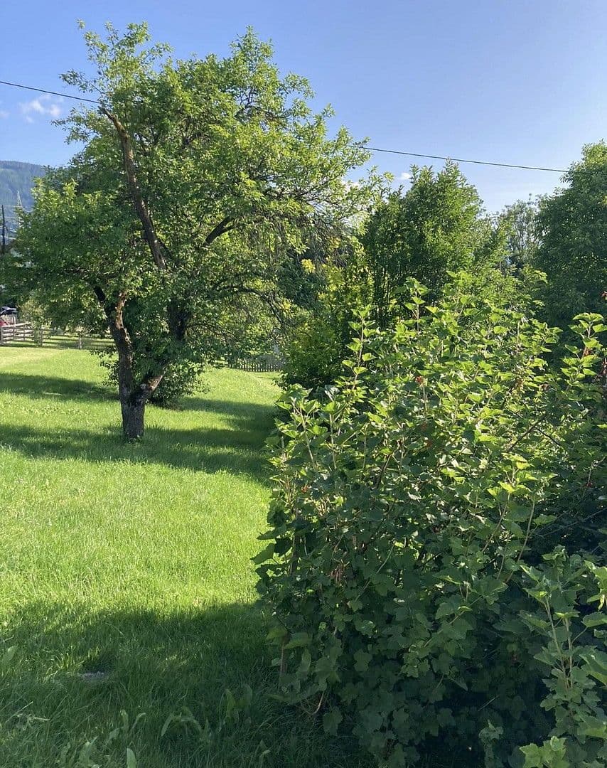 plot for sale, 1,123 m², Tachenberg, Aigen, Styria plot for sale, 1,123 m², Tachenberg, Aigen, Styria