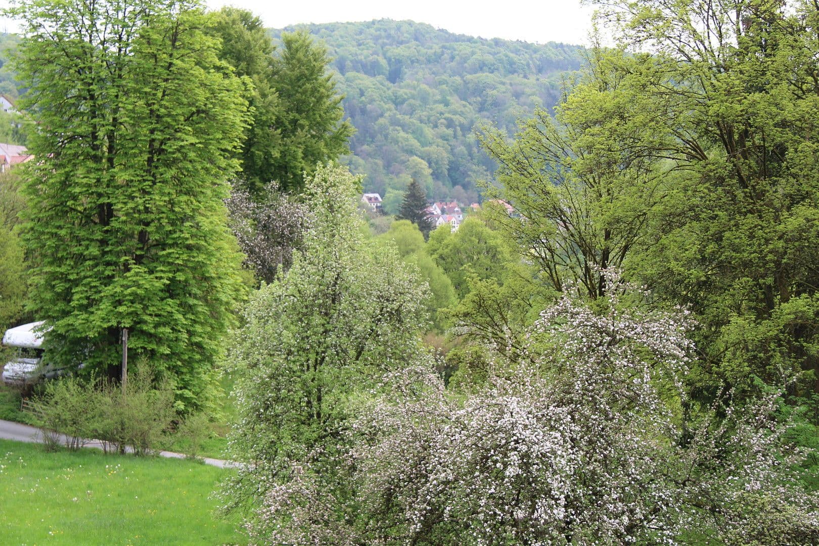 house for sale, 198 m², Egloffstein, Bavaria house for sale, 198 m², Egloffstein, Bavaria