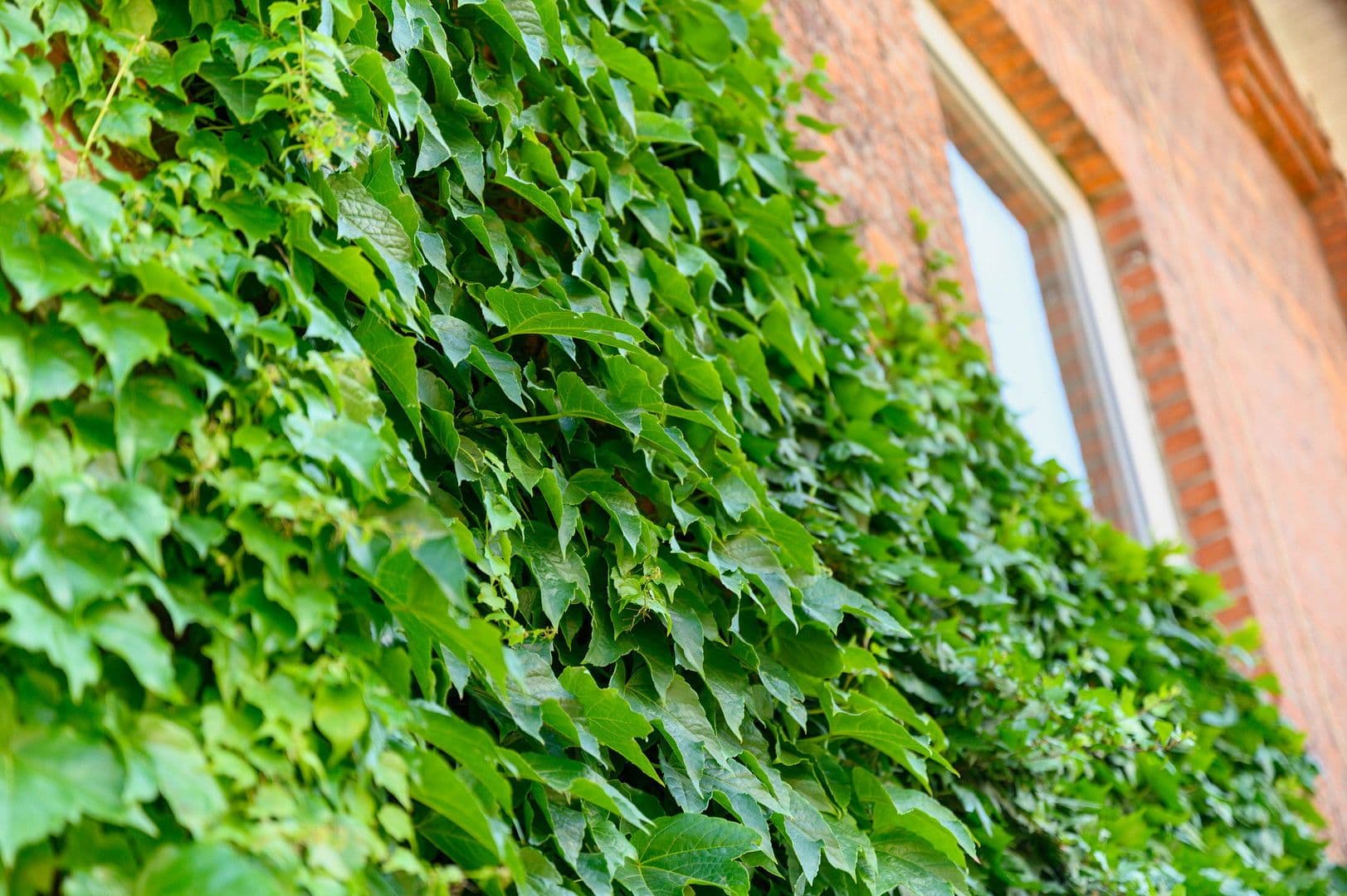 4 bedroom flat to rent, 82 m², Brookredder 2d, Traventhal, Schleswig-Holstein 4 bedroom flat to rent, 82 m², Brookredder 2d, Traventhal, Schleswig-Holstein