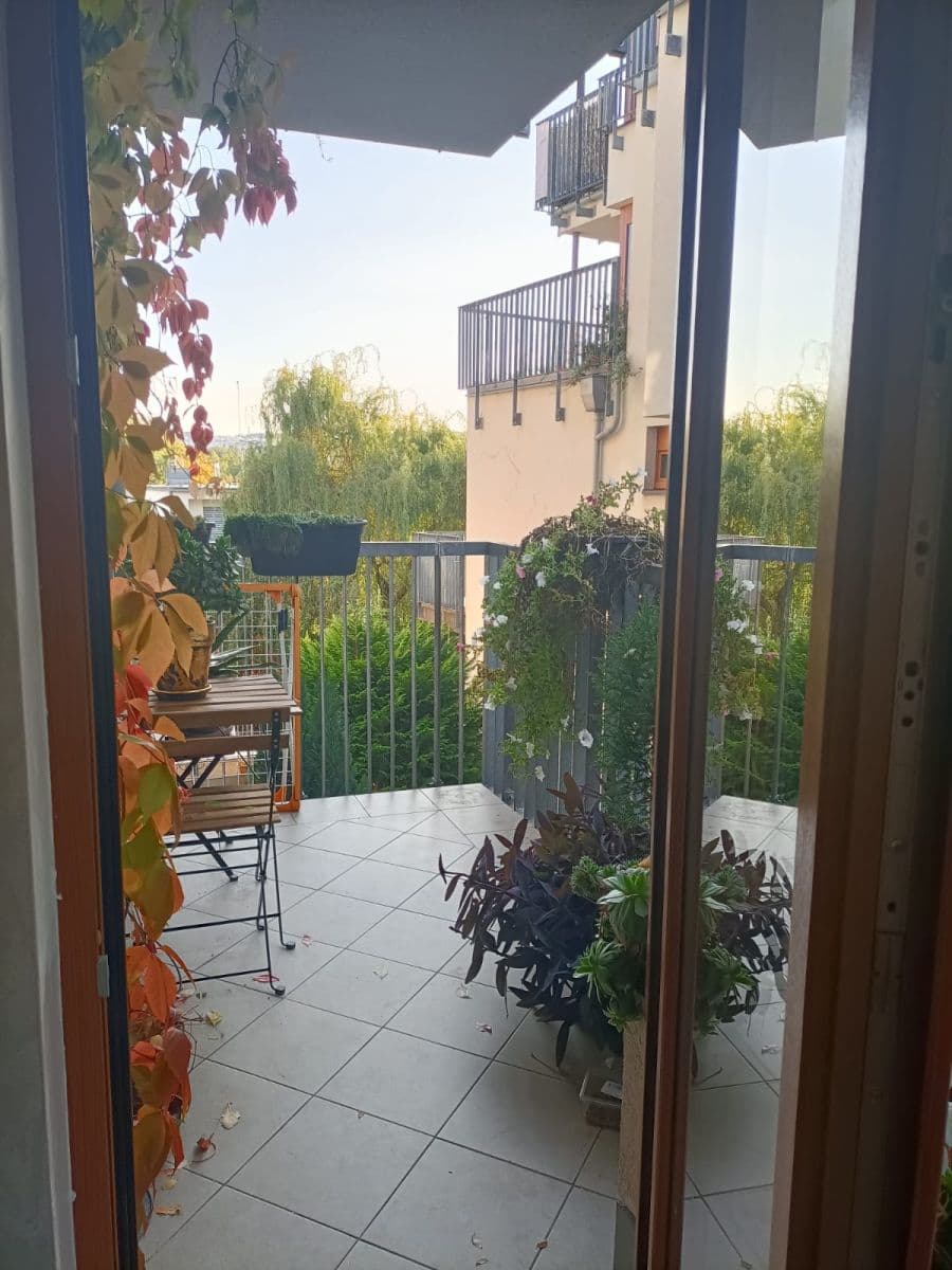 1 bedroom with open-plan kitchen flat to rent, 65 m², Na Císařce, Prague, Prague 1 bedroom with open-plan kitchen flat to rent, 65 m², Na Císařce, Prague, Prague