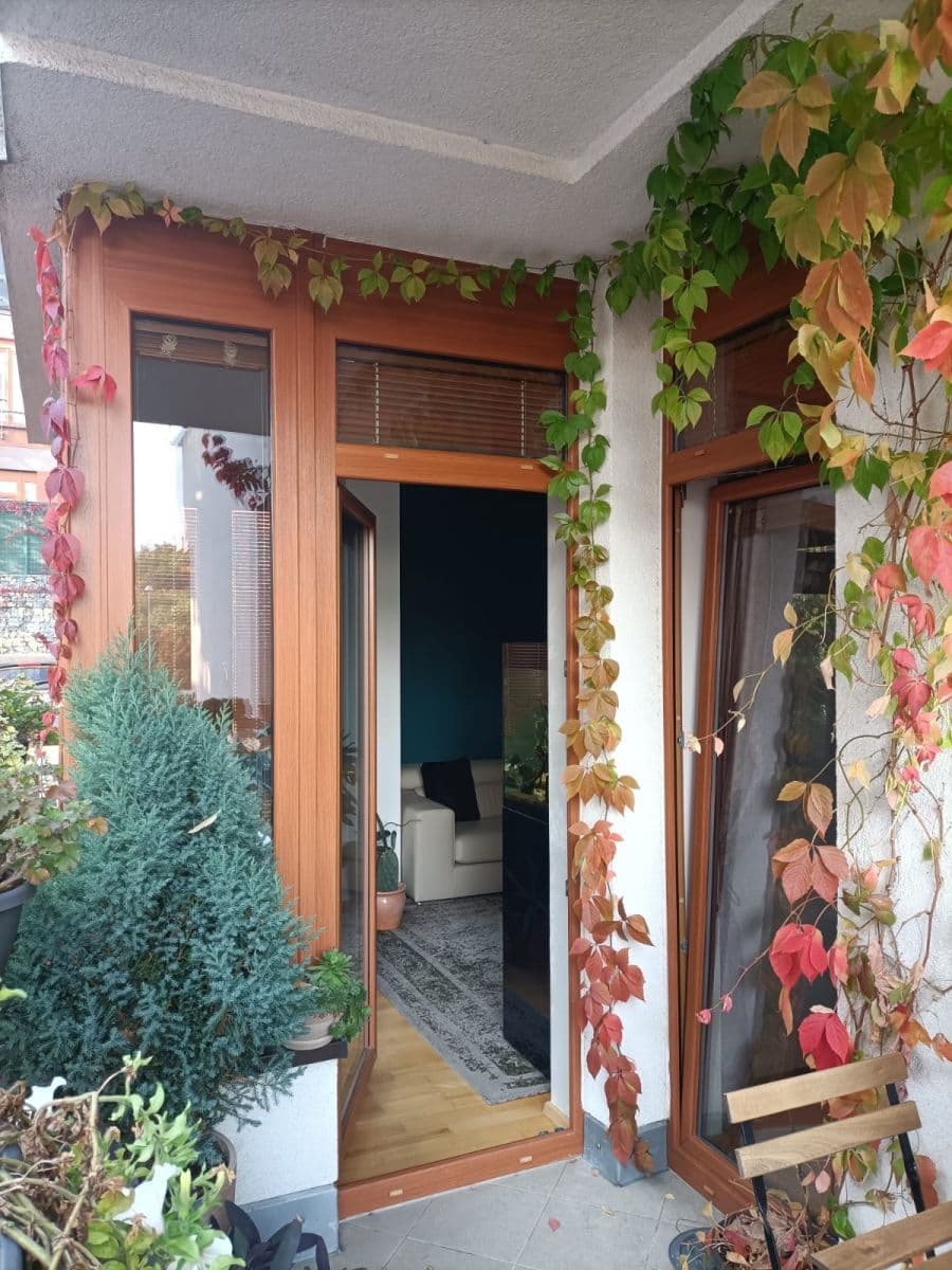 1 bedroom with open-plan kitchen flat to rent, 65 m², Na Císařce, Prague, Prague 1 bedroom with open-plan kitchen flat to rent, 65 m², Na Císařce, Prague, Prague