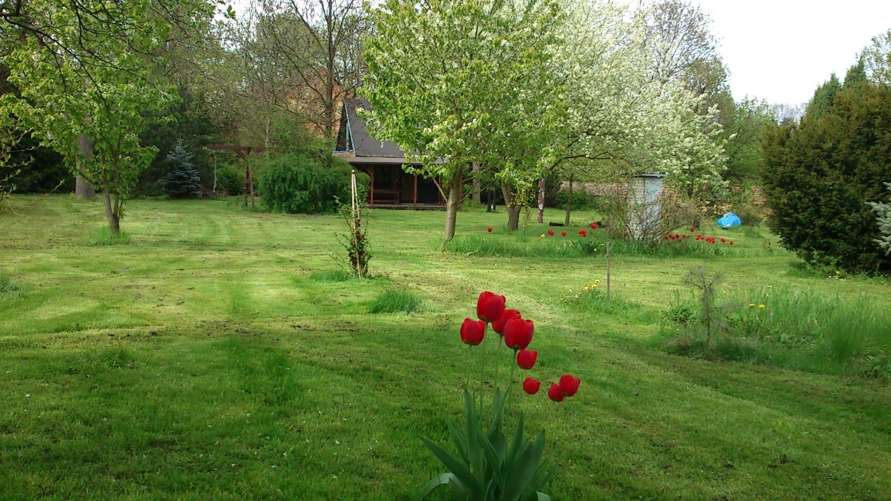 recreational property to rent, 1,800 m², Levohradecká, Roztoky, Středočeský Region recreational property to rent, 1,800 m², Levohradecká, Roztoky, Středočeský Region